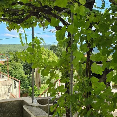 Lavanda Čižići